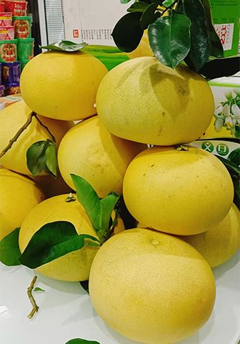 Sự quan tâm nhân văn của Ifan dành cho nhân viên