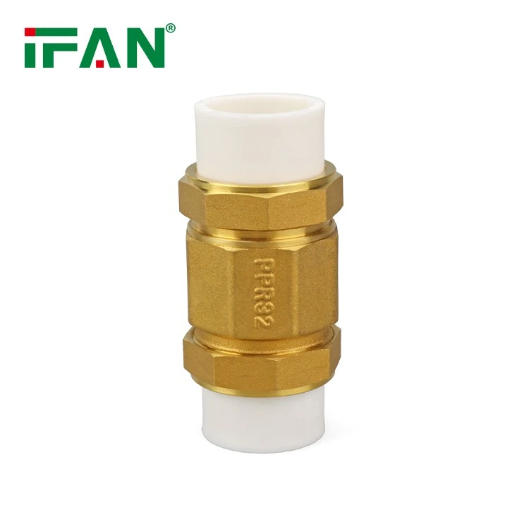 DIN 8077 PPR Check Valve