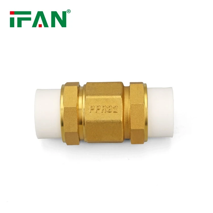 DIN 8077 PPR Check Valve